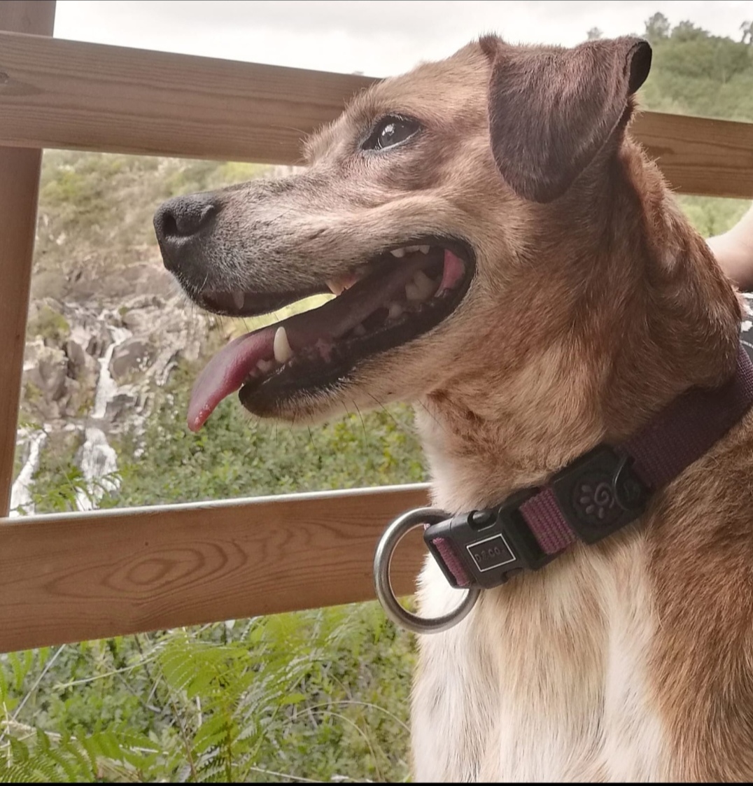 Screenshot_20251015_080712 Screenshot_20251015_080712